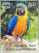 Commemorative Stamp on Blue Throated Macaw