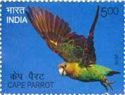 Commemorative Stamp on Cape Parrot