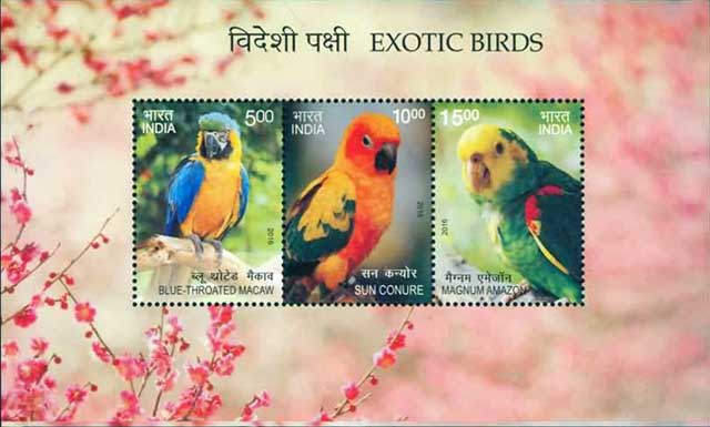 Miniature Sheet on Exotic Birds