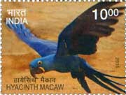 Commemorative Stamp on Hyacinth Macaw