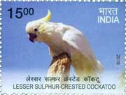 Commemorative Stamp on Lesser Sulphur Crested Cockatoo