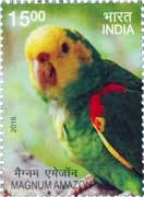 Commemorative Stamp on Magnum Amazon