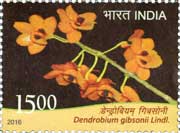 Dendrobium gibsonii Lindl.
