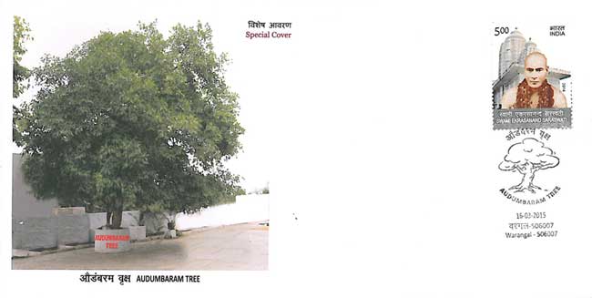 Special Cover on Audumbaram Tree