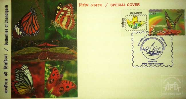 Special Cover on Butterflies of Chandigarh