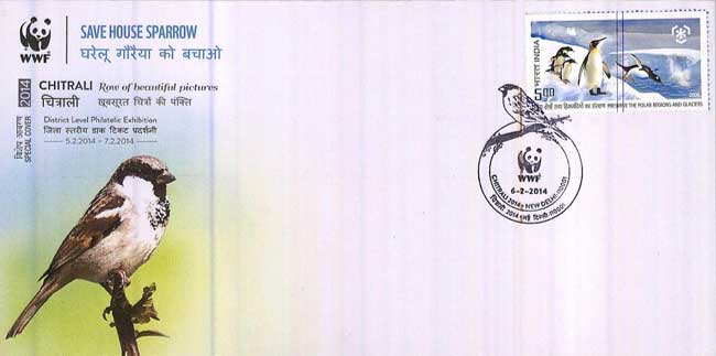 Chitrali-2014 Special Cover
