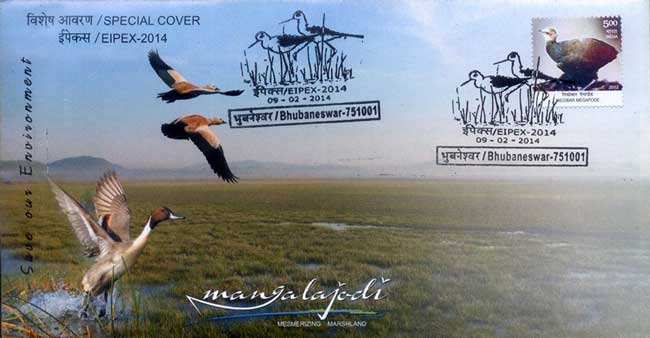 Eipex 2014 Special Cover