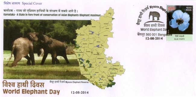 World Elephant Day Special Cover