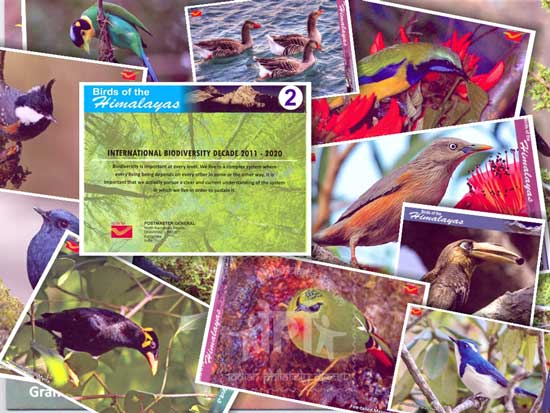 Birds of the Himalayas - International Biodiversity Decade 2011-2020
