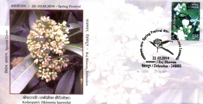 Kedarpatri Special Cover, State Flower Show, Dehradun