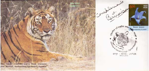 Machali the Royal Tigress