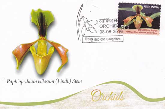 Maxim Cards on Orchids released by Karnataka Postal Circle at Bengaluru