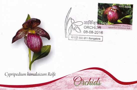 Maxim Cards on Orchids released by Karnataka Postal Circle at Bengaluru