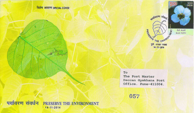 Special Cover on Preserve the Environment