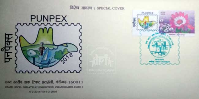 Special Cover on Punpex-2016