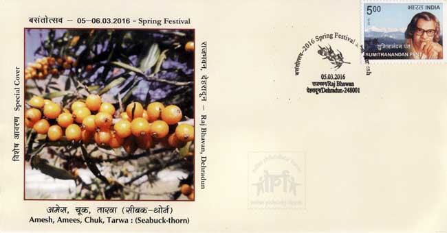 Special Cover featuring sea buckthorn 