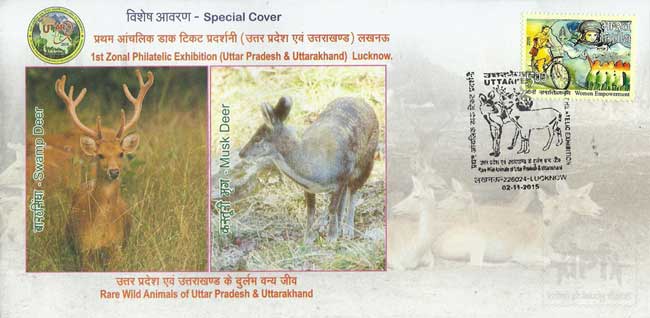 Special Cover on Swamp Deer and Musk Dear