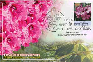 Wild Flowers of India Maxim Cards