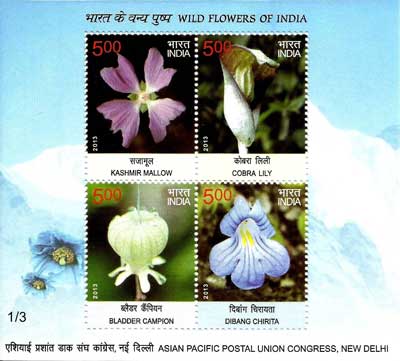 Wild Flowers of India