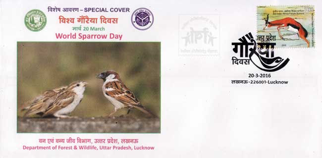 Special Cover on World Sparrow Day 
