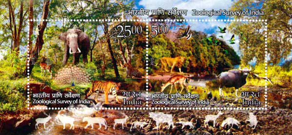 Miniature Sheet on Zoological Survey of India